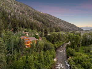 View of mountain background with a forest