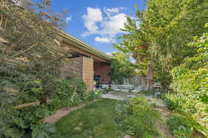 1440 Vineway Backyard