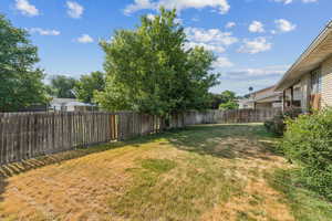 1460 Backyard