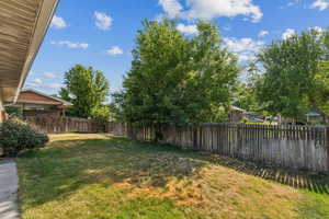 1460 Backyard