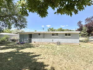 Back yard