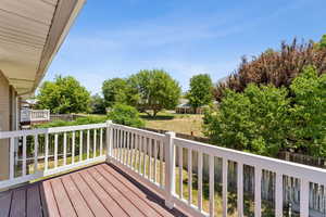 6135 Backyard