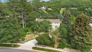 Aerial view of a mountainous background