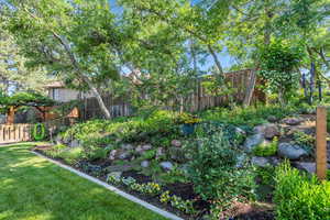 View of fenced backyard