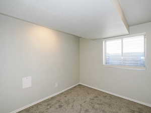Basement bedroom