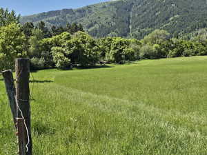 View of grassy yard featuring a wooded view, a mountain view, and a view of rural / pastoral area