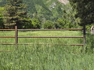 View of yard with a wooded view