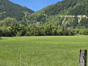 View of mountain background featuring a forest