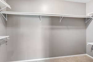 Spacious closet featuring carpet floors