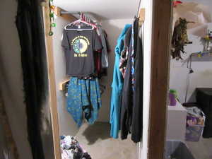Partially finished closet