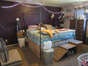 Primary bedroom with carpet and king bed with ceiling fan.
