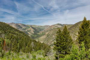 View of mountain background