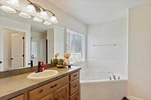Full bath featuring vanity and a bath