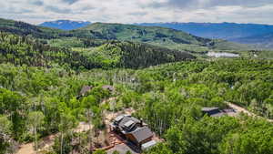 Drone / aerial view of a forest and a water and mountain view