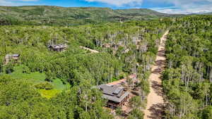 Drone / aerial view of a forest and a mountainous background