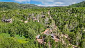 Drone / aerial view of a forest and a mountainous background