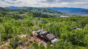 Bird's eye view of a heavily wooded area and a mountainous background