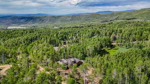 Drone / aerial view of a heavily wooded area and a mountain backdrop