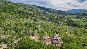 Drone / aerial view of a forest and mountains