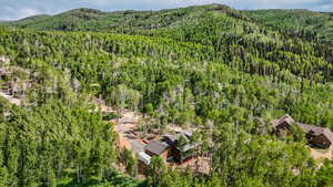 Aerial view of a heavily wooded area and mountains