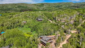 Bird's eye view of a heavily wooded area