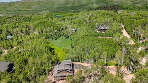 Bird's eye view of a heavily wooded area