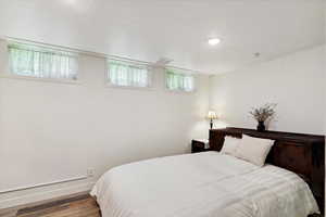 Bedroom in basement. Bright natural light. Large closet.