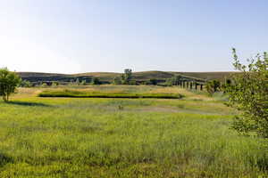 View of yard featuring a view of rural / pastoral area