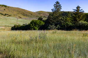 View of mountain background