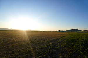 View of yard with a mountain view and a rural view