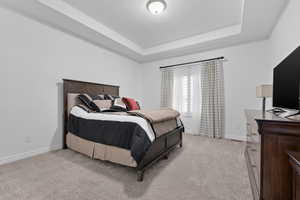 Bedroom with light colored carpet and a tray ceiling