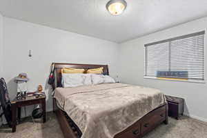Carpeted bedroom featuring baseboards and a textured ceiling
