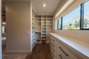 Spacious closet with dark wood-type flooring