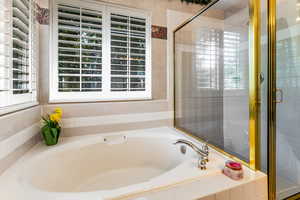 Full bathroom with separate bath and shower