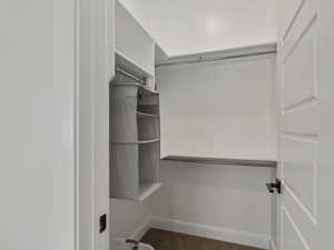 View of walk in closet