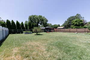 View of fenced backyard