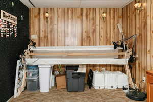 Misc room featuring carpet flooring and wooden walls