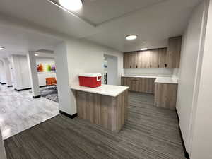 Kitchen with a peninsula, modern cabinets, brown cabinetry, and light countertops
