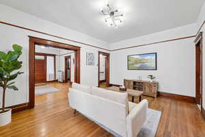 Living area featuring radiator heating unit and light wood finished floors