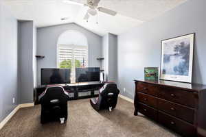 Sitting room featuring vaulted ceiling, ceiling fan, carpet, and a textured ceiling