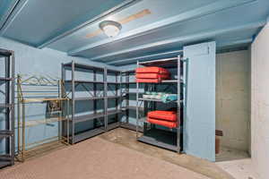 Bomb shelter/storage
