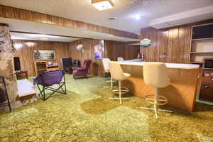 Indoor bar featuring carpet.