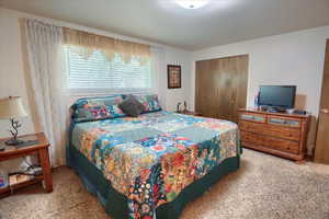 Master bedroom featuring carpet floors and a closet
