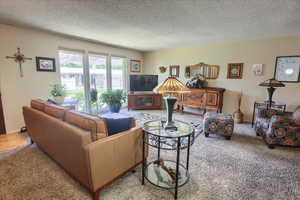 Living room featuring carpet.