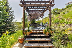 Deck with a pergola