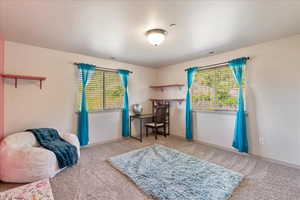 Carpeted bedroom with multiple windows