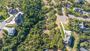 View from above the SE end of the lot