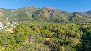 View from the North end of the lot (facing South)