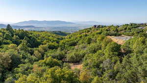 View from the South side of the lot (facing north-valley/lake view)