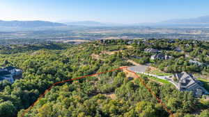 Lower view from above the S side of the lot (approximate lot lines drawn in)